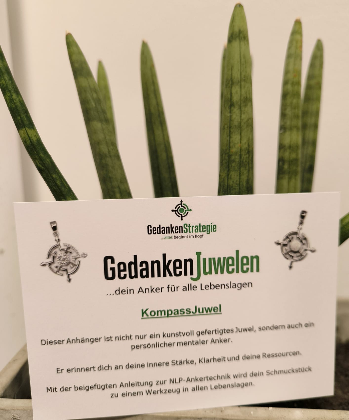 Kettenanhänger "KompassJuwel" Silber mit Zirkonia